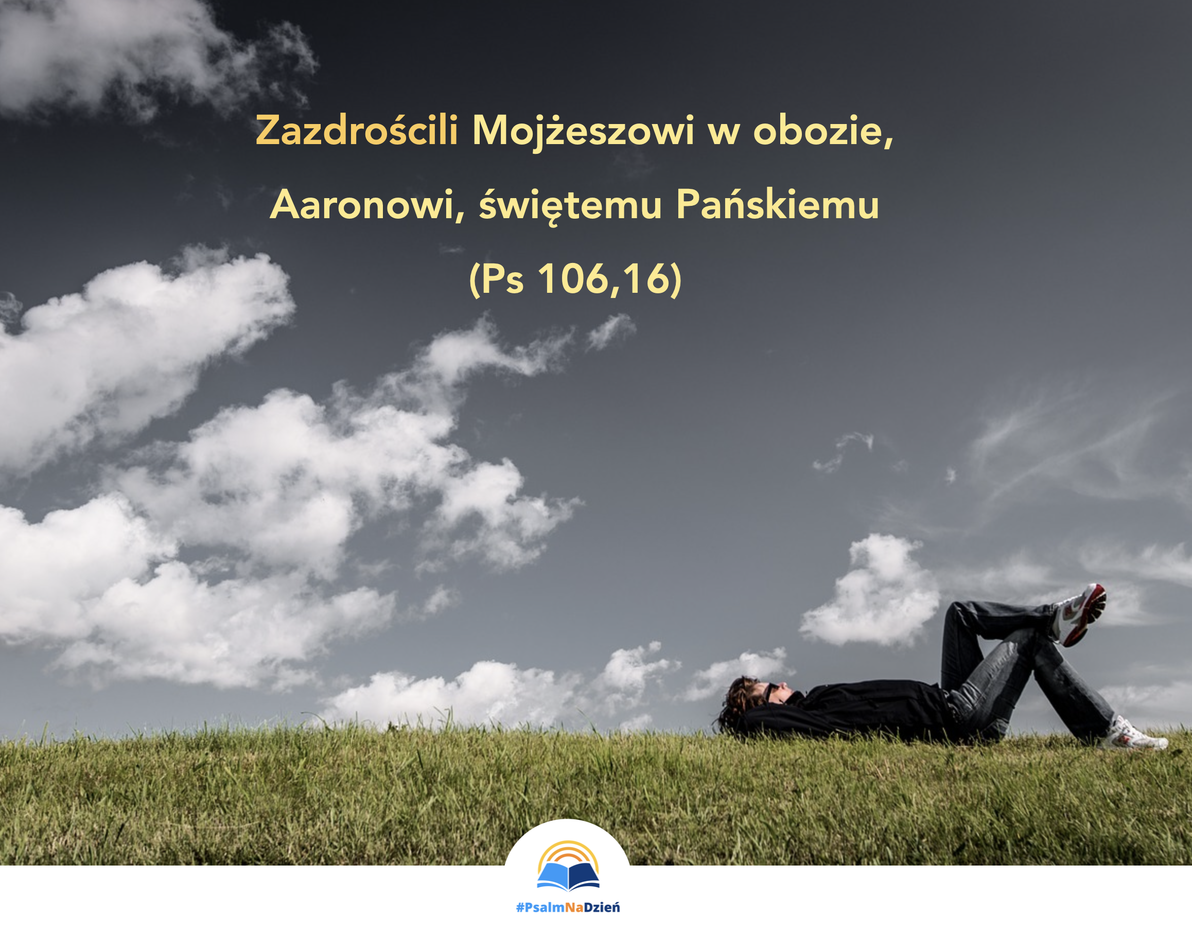 🌱 ILUZJA ZIELONEJ TRAWY