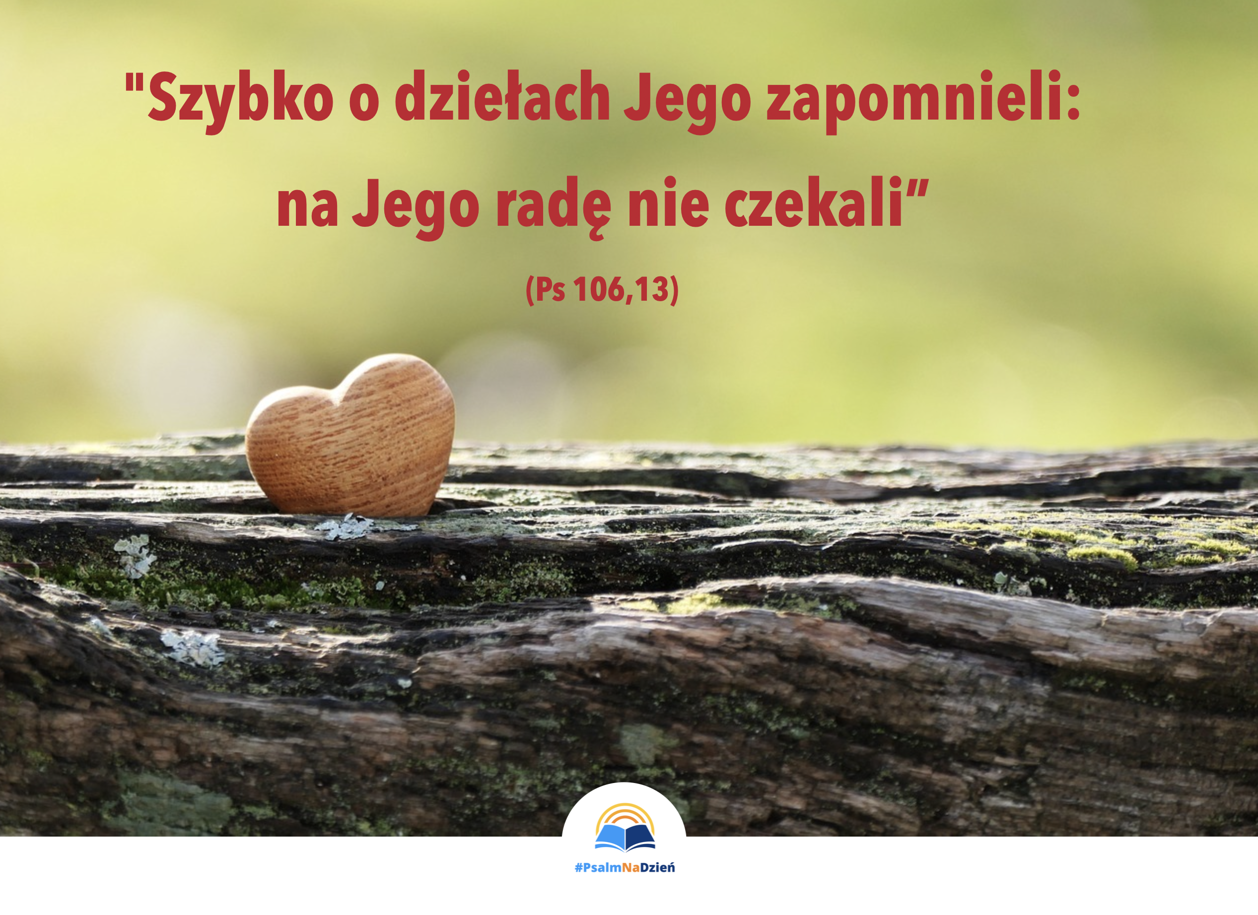 KOMU POTRZEBNA LEKCJA?