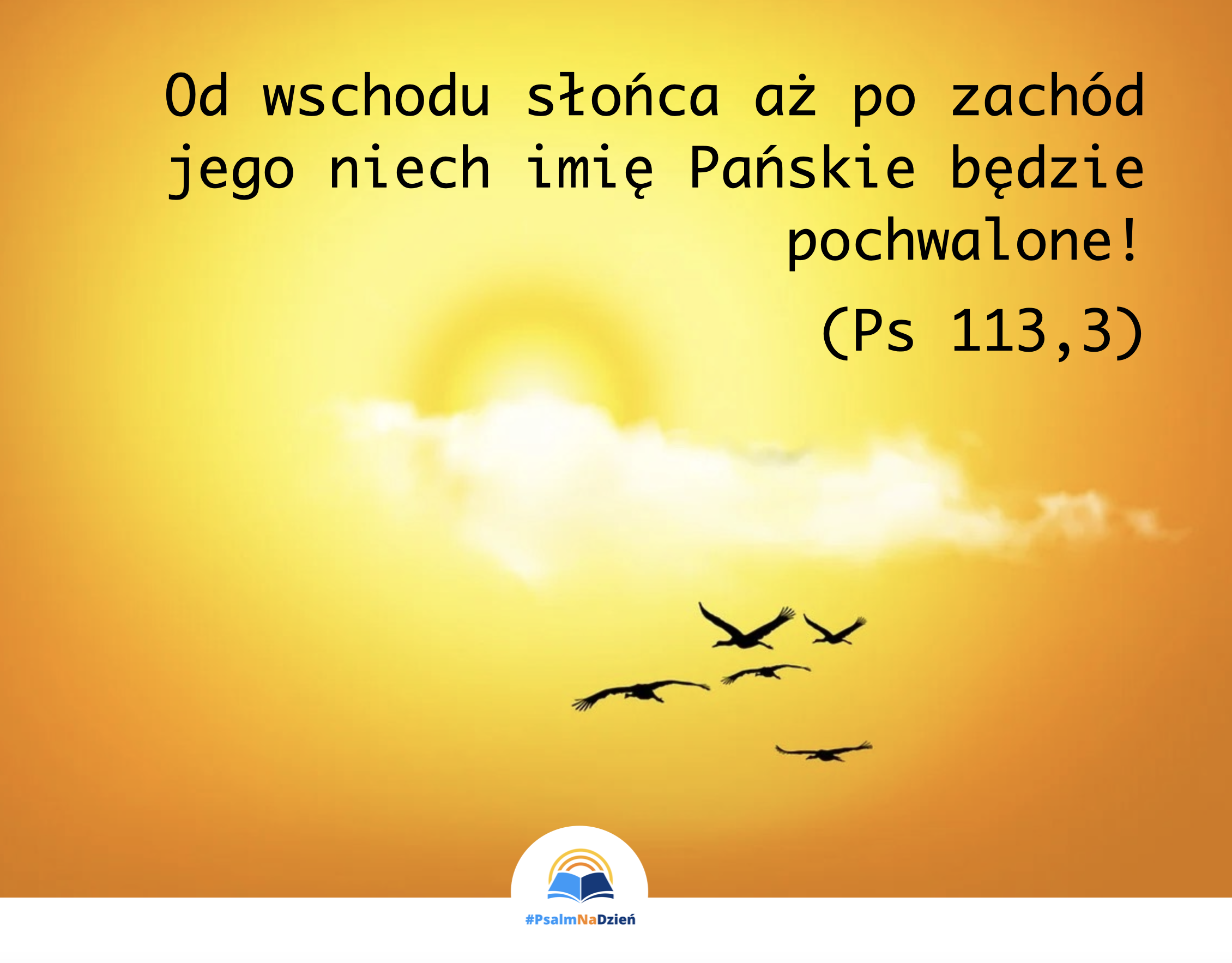 🌅 CAŁODOBOWY BÓG