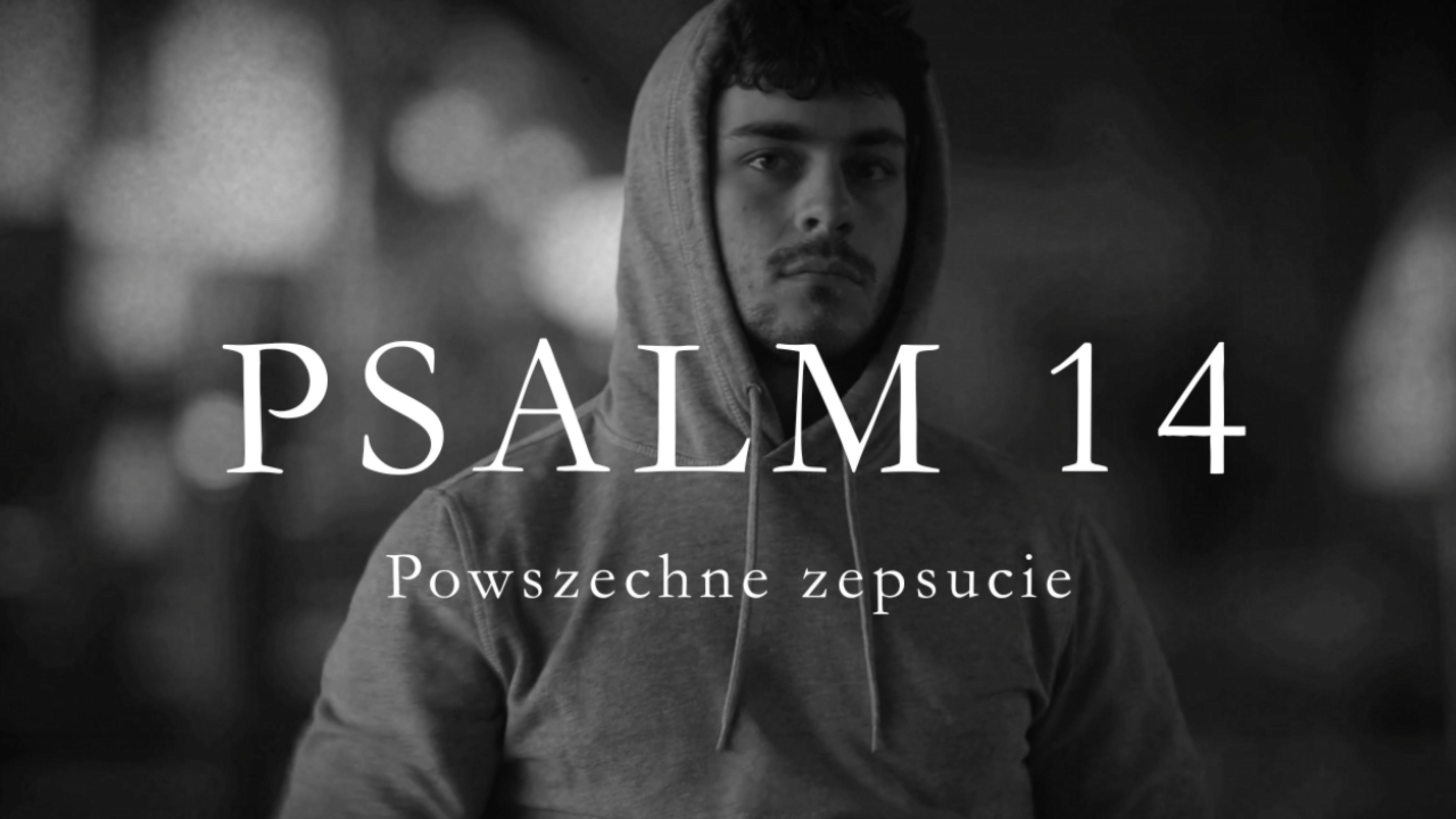 Premiera muzyczna Ps 14