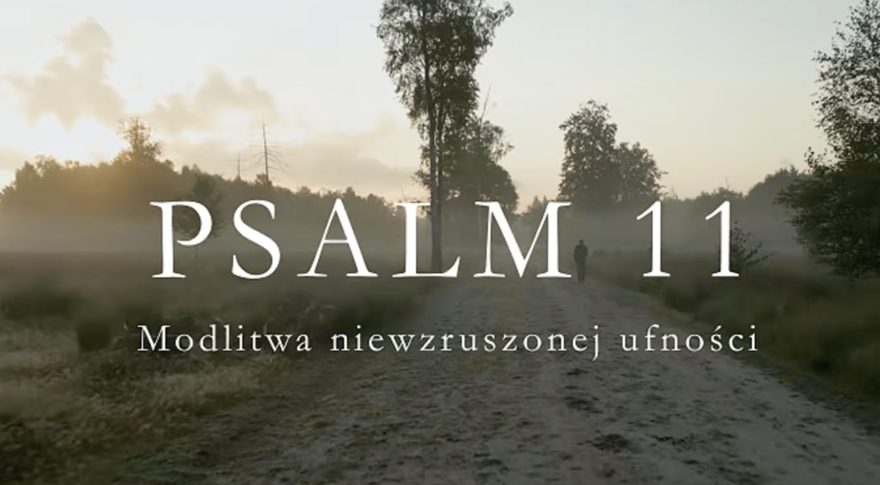 Premiera muzyczna Ps 11